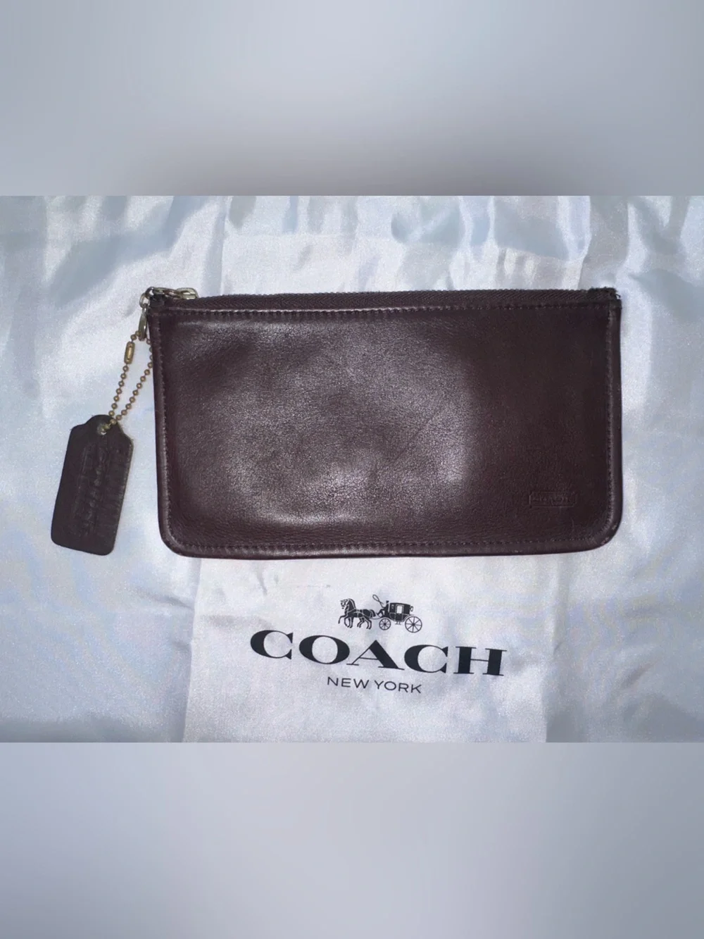 Vintage Coach Skinny Case!
